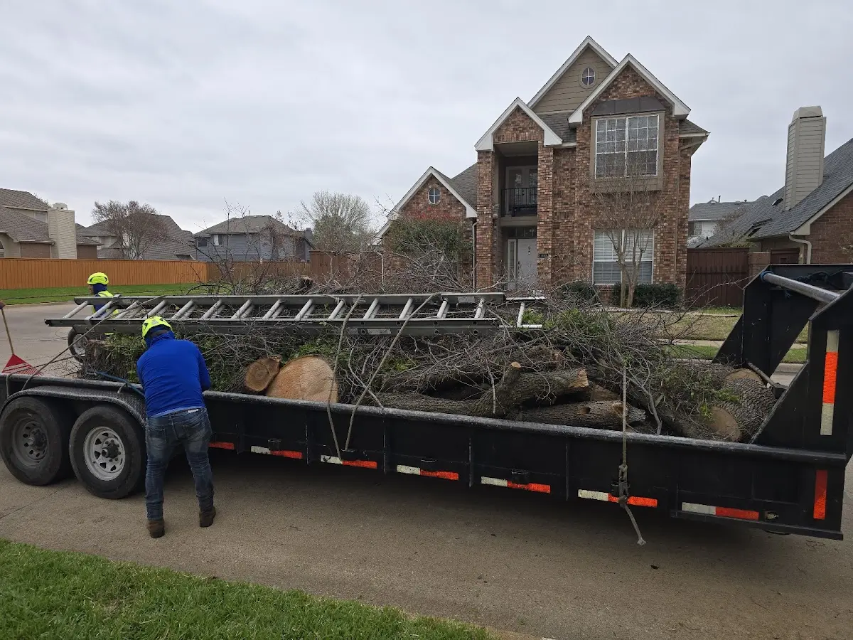 Expert Tree Fertilization with proper safety equipment in Earl